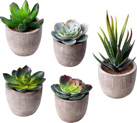 amazon artificial succulents|artificial outdoor cactus and succulents.